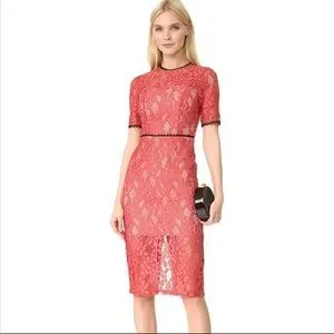 alexis pink lace dress Alexis Sequin Column Formal Dress